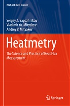 Mityak, Andrey V. Mityakov, Vladimir Y Mityakov, Vladimir Yu Mityakov, Vladimir Yu. Mityakov, Sergey Sapozhnikov... - Heatmetry