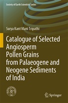 Surya Kant Mani Tripathi - Catalogue of Selected Angiosperm Pollen Grains from Palaeogene and Neogene Sediments of India
