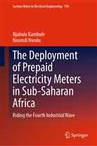 Njabul Kambule, Njabulo Kambule, Nnamdi Nwulu - The Deployment of Prepaid Electricity Meters in Sub-Saharan Africa