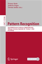 Zeynep Akata, Andrea Geiger, Andreas Geiger, Torsten Sattler - Pattern Recognition