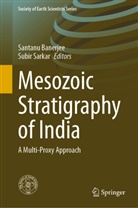 Santan Banerjee, Santanu Banerjee, Banerje Santanu, Banerjee Santanu, Sarkar, Sarkar... - Mesozoic Stratigraphy of India