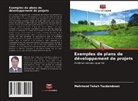 Mahmood Yekeh Yazdandoost - Exemples de plans de développement de projets