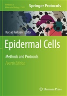 Kursa Turksen, Kursad Turksen - Epidermal Cells