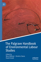 Nora Räthzel, Dimitri Stevis, Dimitris Stevis, David Uzzell - The Palgrave Handbook of Environmental Labour Studies