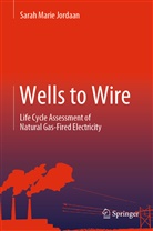 Sarah Jordaan, Sarah Marie Jordaan - Wells to Wire