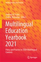 Anthon A Essien, Anthony A Essien, Anthony A. Essien, Msimanga, Msimanga, Audrey Msimanga - Multilingual Education Yearbook 2021