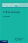 Fosco Loregian - (Co)end Calculus