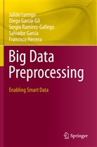 Salvador García, Dieg García-Gil, Diego García-Gil, Francisco Herrera, Juliá Luengo, Julián Luengo... - Big Data Preprocessing