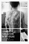 Mark Vincent, Vincent Mark - Criminal Subculture in the Gulag