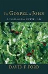 David F Ford, David F. Ford - The Gospel of John