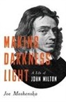 Joe Moshenska - Making Darkness Light