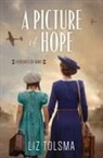 Liz Tolsma - A Picture of Hope
