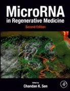 Chandan K Sen, Chandan K. Sen, Chandan K. (Professor of Surgery Sen, Sen Chandan K. - Microrna in Regenerative Medicine
