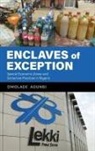 Omolade Adunbi - Enclaves of Exception