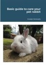 Venezuela Conejos Venezuela, Conejos Venezuela - Basic guide to care your pet rabbit