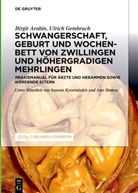 Birgi Arabin, Birgit Arabin, Ulrich Gembruch, Amr Hamza, Ioannis Kyvernitakis - Schwangerschaft, Geburt und Wochenbett von Zwillingen und höhergradigen Mehrlingen