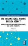 Joseph F. Pilat, Joseph F. Pilat - International Atomic Energy Agency