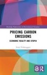 Aviel Verbruggen - Pricing Carbon Emissions