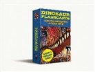 Thomas Nelson, Julius Csotonyi - Dinosaur Flashcards