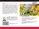 Jorge Eduardo Burbano Álvarez - Los picos de los colibríes y las corolas de las plantas