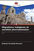 Antonio Fernando Recuero - Migrations indigènes et sociétés plurinationales