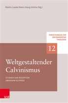 Margit Ernst-Habib, Christine Lienemann-Perrin, Marco Hofheinz, Marco Hofheinz u a, Martin Laube, Georg Plasger... - Weltgestaltender Calvinismus