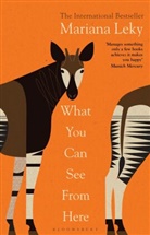Mariana Leky - What You Can See From Here