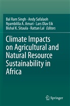 Nyambilila A Amuri et al, Nyambilila A. Amuri, Lars Olav Eik, Rattan Lal, And Safalaoh, Andy Safalaoh... - Climate Impacts on Agricultural and Natural Resource Sustainability in Africa