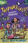Ross Montgomery, Montgomery Ross, Mark Beech, Beech Mark - Tripwrecked!