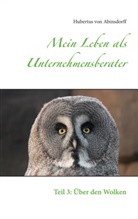 Hubertus von Abinsdorff, Hubertus von Abinsdorff - Mein Leben als Unternehmensberater