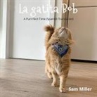 Sam Miller - La gatita Bob - niño bebé libro prekinder Jardín infantil niña