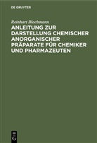 Reinhart Blochmann - Anleitung zur Darstellung chemischer anorganischer Präparate für Chemiker und Pharmazeuten