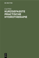 Carl Pick - Kurzgefasste practische Hydrotherapie