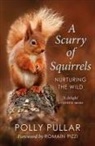 Polly Pullar - Scurry of Squirrels