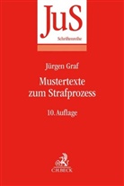 Jürg Graf, Jürgen Graf, Jürgen (Dr.) Graf, Jürgen Peter Graf, Dietric Rahn, Dietrich Rahn... - Mustertexte zum Strafprozess