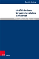 Dominik Römling - Die Effektivität des Vergaberechtsschutzes in Frankreich