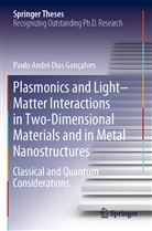 Paulo André Dias Gonçalves - Plasmonics and Light-Matter Interactions in Two-Dimensional Materials and in Metal Nanostructures