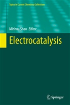 Minhu Shao, Minhua Shao - Electrocatalysis
