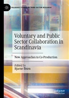 Bjarn Ibsen, Bjarne Ibsen - Voluntary and Public Sector Collaboration in Scandinavia