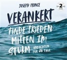 Joseph Prince - Verankert - Finde Frieden mitten im Sturm (Hörbuch)