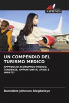 Bamidele Johnson Alegbeleye - UN COMPENDIO DEL TURISMO MEDICO