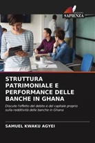 SAMUEL KWAKU AGYEI - STRUTTURA PATRIMONIALE E PERFORMANCE DELLE BANCHE IN GHANA
