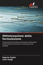 Aparna Gupta, Lalit Singh - Ottimizzazione della formulazione