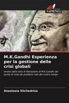Anastasia Shchedrina - M.K.Gandhi Esperienza per la gestione delle crisi globali