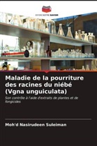 Moh'd Nasirudeen Suleiman - Maladie de la pourriture des racines du niébé (Vgna unguiculata)