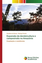 Claudiane de Sousa, Rodrigo Peixoto - Expansão da dendeicultura e campesinato na Amazônia
