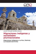Antonio Fernando González Recuero - Migraciones indígenas y sociedades plurinacionales