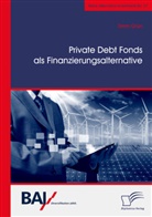 Timm Grün - Private Debt Fonds als Finanzierungsalternative