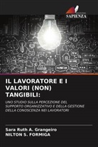Nilton S. Formiga, Sara Ruth A. Grangeiro - IL LAVORATORE E I VALORI (NON) TANGIBILI: