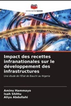 Aliyu Abdullahi, Aminu Hammayo, Isah Shittu - Impact des recettes infranationales sur le développement des infrastructures